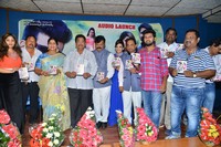 Danger Love Story Audio Launch